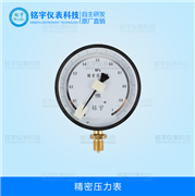 精密壓力表